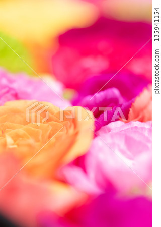 Vibrant flower images Vibrant flower images 135941154