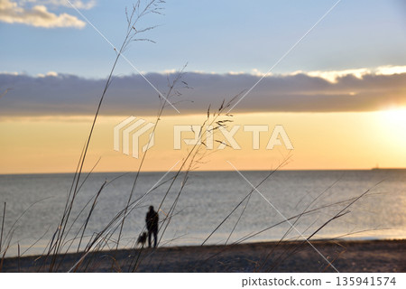 First sunrise of the year at Ise Bay, Tsu City, Mie Prefecture 135941574