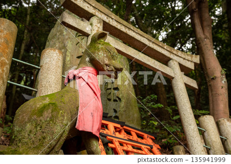 Fox statue at Fushimi Inari Taisha Shrine in Fushimi Ward, Kyoto City 135941999