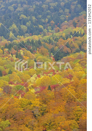 Sky Valley Kinupyu的秋葉 Sky Valley Kinupyu的秋葉 135942052