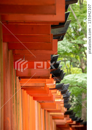 Fushimi Ward, Kyoto City Fushimi Inari Shrine's Senbon Torii 135942107