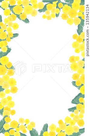 手繪含羞草框_豎版 手繪含羞草框_豎版 135942134