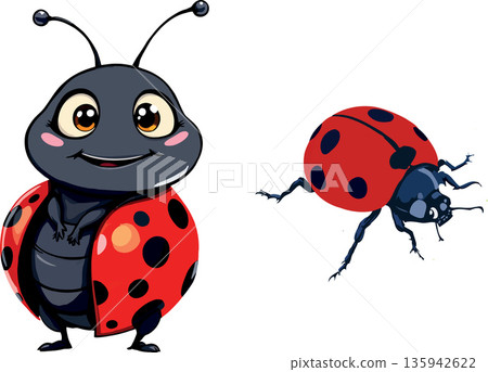 Cute cartoon ladybug smiling and crawling insect character illustrations Cute cartoon ladybug smiling and crawling insect character illustrations 135942622