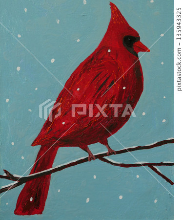 Red cardinal bird in winter 135943325