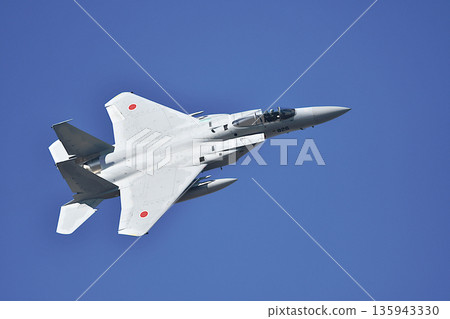 空中自衛隊F-15戰鬥機 135943330