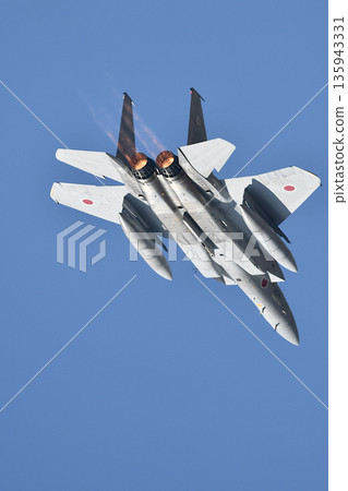 Air Self Defense Force F-15 Fighter 135943331