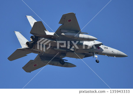 Air Self Defense Force F-15 Fighter Air Self Defense Force F-15 Fighter 135943333