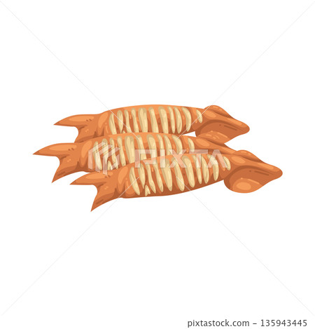 Illustration of Grilled squid Illustration of Grilled squid 135943445