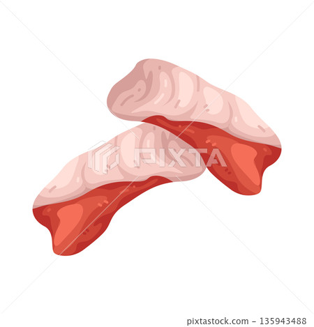Illustration of Yellowtail sashimi Illustration of Yellowtail sashimi 135943488