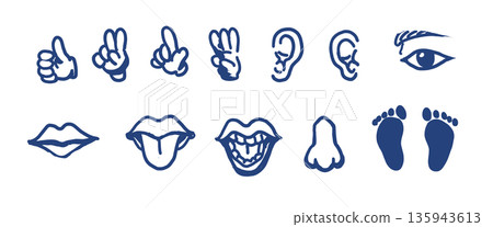 各種類型的簡單身體部位圖示集 135943613