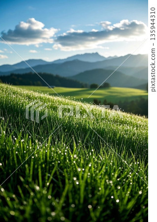 Sunlit meadows and distant mountain scenery 135944310