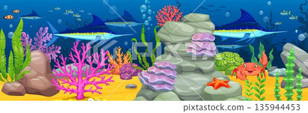 Cartoon blue marlin fish and coral reefs underwater ocean landscape. Vector sea life scene with tropical fish shoal, crab, starfish, seaweed, rocks and sand. Marine seascape, aquatic wildlife panorama Cartoon blue marlin fish and coral reefs underwater ocean landscape. Vector sea life scene with tropical fish shoal, crab, starfish, seaweed, rocks and sand. Marine seascape, aquatic wildlife panorama 135944453