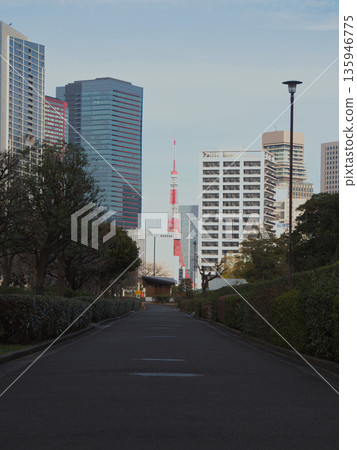 Winter morning, straight road, Tokyo Tower 135946775