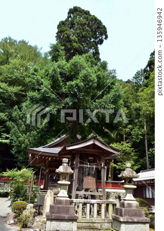 Kanrai Shrine 135946942