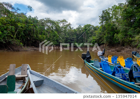 Canoes on the calm waters of Cuyabeno Reserve, Ecuador Canoes on the calm waters of Cuyabeno Reserve, Ecuador 135947014