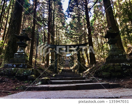 Moss-covered stairs of Kamishikimi Kumanoimasu Shrine Moss-covered stairs of Kamishikimi Kumanoimasu Shrine 135947031