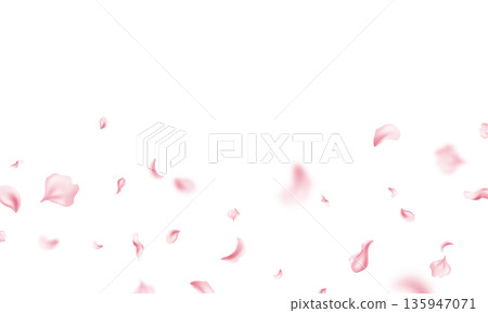 Pink flower petals fall onto an abstract floral background, a beautiful floral pattern on a greeting card. Vector illustration. 135947071