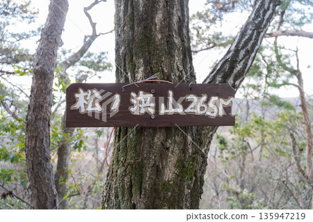 The summit of Matsunohama Mountain (Hoshida Park) The summit of Matsunohama Mountain (Hoshida Park) 135947219