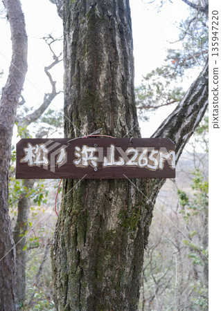 The summit of Matsunohama Mountain (Hoshida Park) The summit of Matsunohama Mountain (Hoshida Park) 135947220