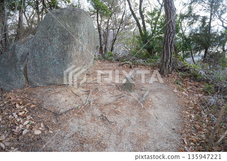 The summit of Matsunohama Mountain (Hoshida Park) The summit of Matsunohama Mountain (Hoshida Park) 135947221