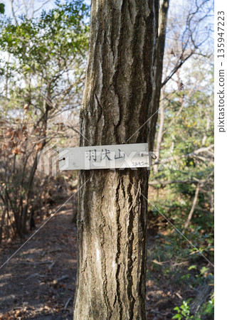 羽武山頂(星田公園) 羽武山頂(星田公園) 135947223