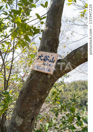 The summit of Mt. Otani (Hoshida Garden) The summit of Mt. Otani (Hoshida Garden) 135947226