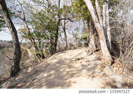 The summit of Mt. Otani (Hoshida Garden) The summit of Mt. Otani (Hoshida Garden) 135947227