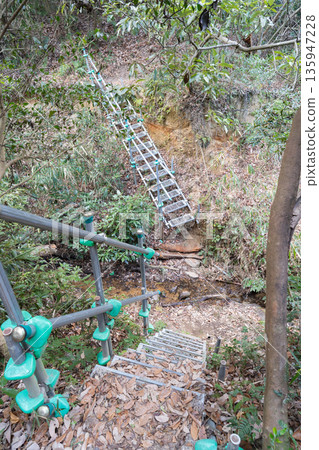 A ladder on the hiking trail of the Hoshida Mountain Range (Hoshida Park) A ladder on the hiking trail of the Hoshida Mountain Range (Hoshida Park) 135947228