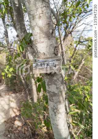 The summit of Mt. Benzaiten (Hoshida Park) The summit of Mt. Benzaiten (Hoshida Park) 135947230