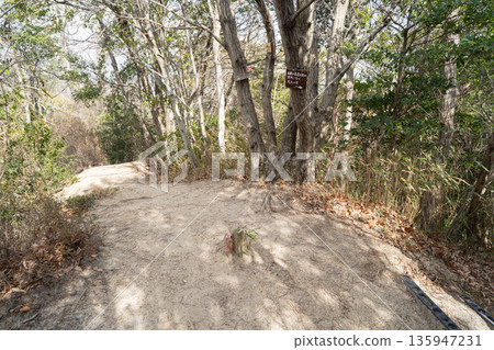 The summit of Mt. Benzaiten (Hoshida Park) The summit of Mt. Benzaiten (Hoshida Park) 135947231