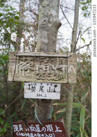 The summit of Mt. Ibarao (Hoshida Garden) The summit of Mt. Ibarao (Hoshida Garden) 135947233