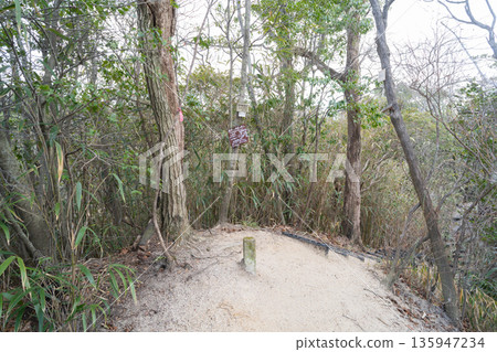 The summit of Mt. Ibarao (Hoshida Garden) The summit of Mt. Ibarao (Hoshida Garden) 135947234