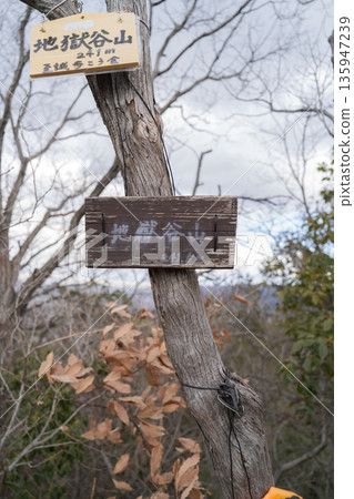 地獄谷山頂(星田公園) 地獄谷山頂(星田公園) 135947239
