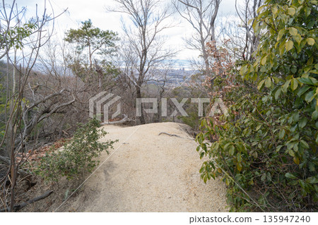 The summit of Mount Jigokudani (Hoshida Park) The summit of Mount Jigokudani (Hoshida Park) 135947240