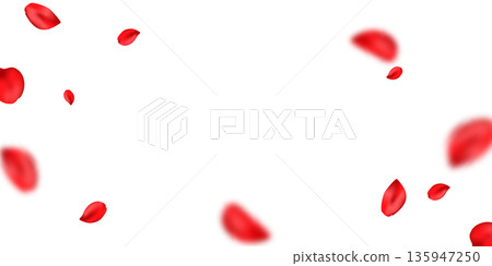 Red rose petal banner. Flower part flying background. Valentine romantic card. Summer and spring blossom wave frame. Happy Woman, Mother day. Beauty Spa product. Organic cosmetic. Vector illustration 135947250