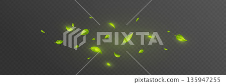 Green leaves air wind. Fresh mint wave. Leaf flying flow bg. Spring tree plant design. Eco tea banner. Swirl effect. 3d floral beauty nature background. Ecology. Vector illustration Green leaves air wind. Fresh mint wave. Leaf flying flow bg. Spring tree plant design. Eco tea banner. Swirl effect. 3d floral beauty nature background. Ecology. Vector illustration 135947255