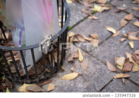 House keys lying on the edge of a trash bin with autumn leaves scattered around. Outdoor urban scene showing everyday objects in a casual seasonal context. 135947316