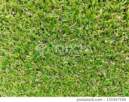 Lawn Lawn 135947398