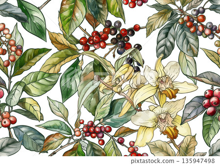 Coffee and vanilla botanical pattern Coffee and vanilla botanical pattern 135947498