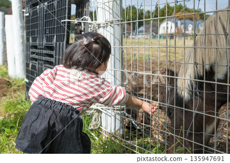[Grazing horse and two-year-old child] 135947691