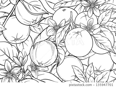 Oranges and citrus blossoms seamless  135947701