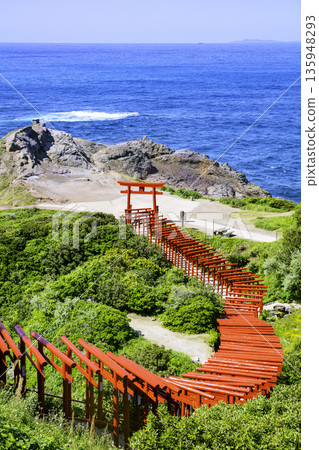 擁有123座紅色鳥居的壯麗景色的元乃隅神社（山口縣長門市） 135948293