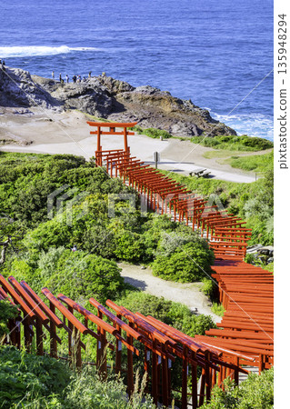擁有123座紅色鳥居的壯麗景色的元乃隅神社（山口縣長門市） 135948294
