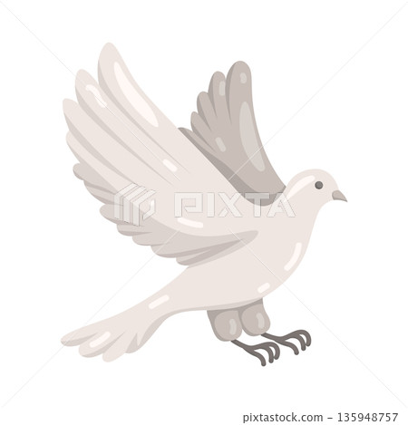 Illustration of dove Illustration of dove 135948757