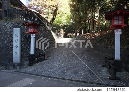 新宿十三社熊野神社 新宿十三社熊野神社 135948861