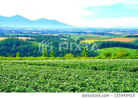 從修實山眺望(北海道旭川市) 從修實山眺望(北海道旭川市) 135949418