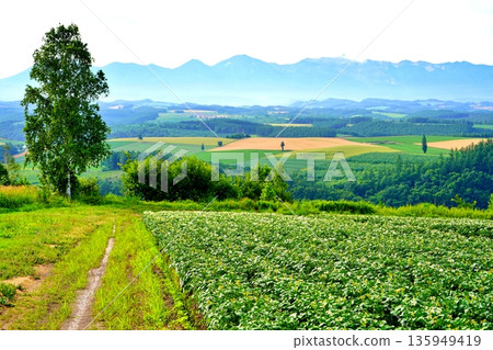 從修實山眺望（北海道旭川市） 135949419