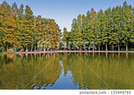 Besshi-mura Park 135949783