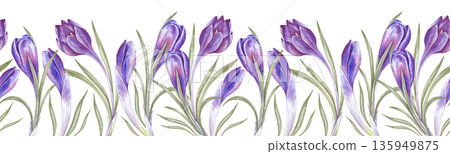 Seamless horizontal border with purple crocuses on an isolated background. Watercolor illustration with spring flowers. Seamless template for textiles, wallpapers, spring themes and Easter holiday. Seamless horizontal border with purple crocuses on an isolated background. Watercolor illustration with spring flowers. Seamless template for textiles, wallpapers, spring themes and Easter holiday. 135949875