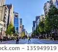 Pedestrian street on a sunny day 135949919